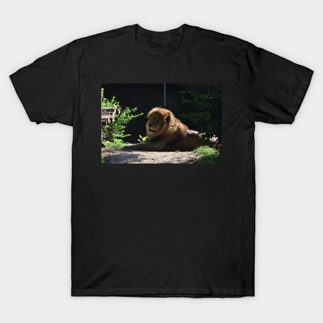 Lion T-Shirt by MarieDarcy